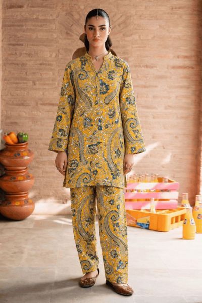 Bareeze By Amal Printed Khaddar 2-Piece Suit
