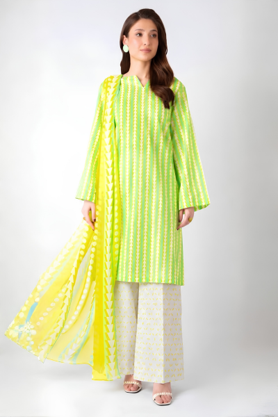 Bareeze Printed Karandi 3-Piece Suit